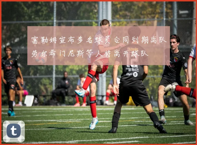 富勒姆宣布多名球员合同到期离队劳尔希门尼斯等人将离开球队