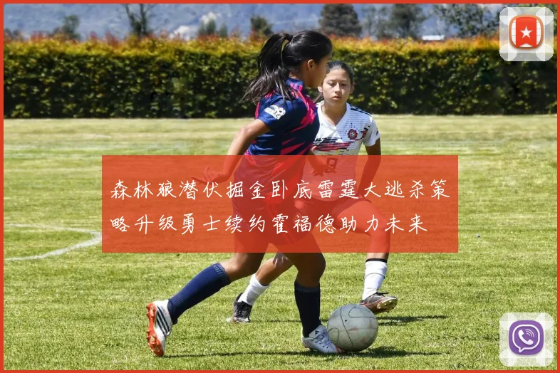 森林狼潜伏掘金卧底雷霆大逃杀策略升级勇士续约霍福德助力未来