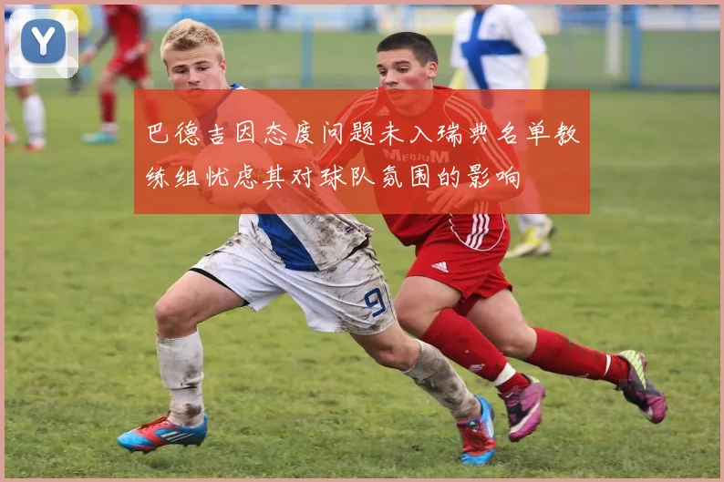 巴德吉因态度问题未入瑞典名单教练组忧虑其对球队氛围的影响