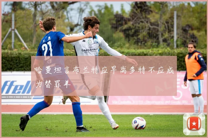 哈曼坦言布兰特应早离多特不应成为替罪羊